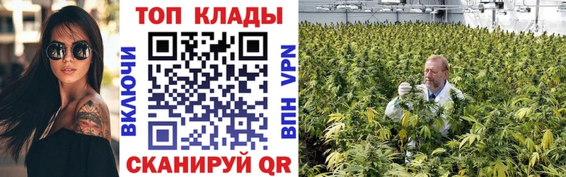 Все наркотики Приморск ГАШИШ  Амфетамин  Меф мяу мяу  COCAIN 