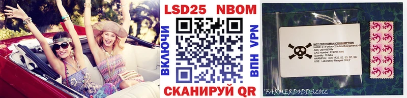 купить   Приморск  ссылка на мегу ссылки  Марки NBOMe 1,5мг 