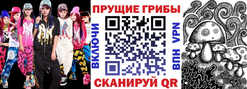 купить наркотики цена  Приморск  Галлюциногенные грибы мухоморы 